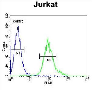 GNB1 Antibody flow cytometry of Jurkat cells (right histogram) compared to a negative control cell (left histogram). FITC-conjugated goat-anti-rabbit secondary antibodies were used for the analysis.