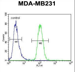 GNL3L Antibody flow cytometry of MDA-MB231 cells (right histogram) compared to a negative control cell (left histogram). FITC-conjugated goat-anti-rabbit secondary antibodies were used for the analysis.
