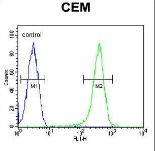COX10 Antibody flow cytometry of CEM cells (right histogram) compared to a negative control cell (left histogram). FITC-conjugated goat-anti-rabbit secondary antibodies were used for the analysis.