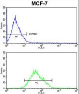 COX5A Antibody FC of MCF-7cells (bottom histogram) compared to a negative control cell (top histogram). FITC-conjugated goat-anti-rabbit secondary antibodies were used for the analysis.