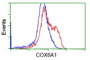 HEK293T cells transfected with either overexpress plasmid (Red) or empty vector control plasmid (Blue) were immunostained by anti-COX6A1 antibody, and then analyzed by flow cytometry.