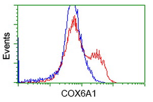 HEK293T cells transfected with either overexpress plasmid (Red) or empty vector control plasmid (Blue) were immunostained by anti-COX6A1 antibody, and then analyzed by flow cytometry.