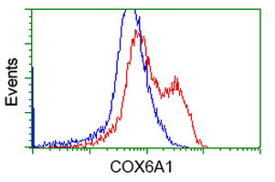 HEK293T cells transfected with either overexpress plasmid (Red) or empty vector control plasmid (Blue) were immunostained by anti-COX6A1 antibody, and then analyzed by flow cytometry.