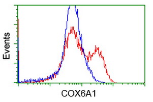 HEK293T cells transfected with either overexpress plasmid (Red) or empty vector control plasmid (Blue) were immunostained by anti-COX6A1 antibody, and then analyzed by flow cytometry.