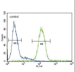 CP Antibody flow cytometry of HepG2 cells (right histogram) compared to a negative control cell (left histogram). FITC-conjugated goat-anti-rabbit secondary antibodies were used for the analysis.
