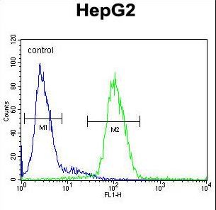 CP Antibody flow cytometry of HepG2 cells (right histogram) compared to a negative control cell (left histogram). FITC-conjugated goat-anti-rabbit secondary antibodies were used for the analysis.