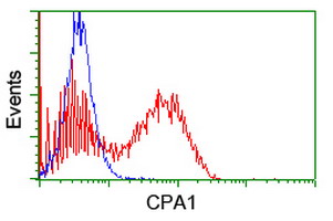 HEK293T cells transfected with either overexpress plasmid (Red) or empty vector control plasmid (Blue) were immunostained by anti-CPA1 antibody, and then analyzed by flow cytometry.