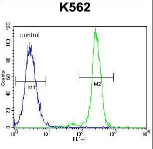 CPA3 Antibody flow cytometry of K562 cells (right histogram) compared to a negative control cell (left histogram). FITC-conjugated goat-anti-rabbit secondary antibodies were used for the analysis.