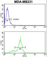 CPN2 Antibody flow cytometry of MDA-MB231 cells (bottom histogram) compared to a negative control cell (top histogram). FITC-conjugated goat-anti-rabbit secondary antibodies were used for the analysis.