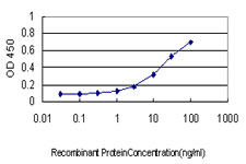 Detection limit for recombinant GST tagged CREG1 is approximately 0.3 ng/ml as a capture antibody.