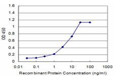 Detection limit for recombinant GST tagged CSRP1 is approximately 0.3 ng/ml as a capture antibody.