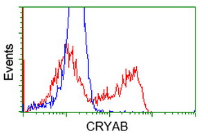 HEK293T cells transfected with either overexpress plasmid (Red) or empty vector control plasmid (Blue) were immunostained by anti-CRYAB antibody, and then analyzed by flow cytometry.