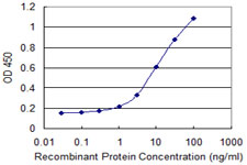 Detection limit for recombinant GST tagged CRYBA4 is 0.3 ng/ml as a capture antibody.