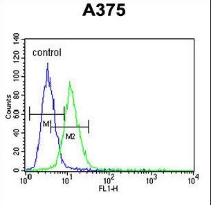CS Antibody flow cytometry of A375 cells (right histogram) compared to a negative control cell (left histogram). FITC-conjugated goat-anti-rabbit secondary antibodies were used for the analysis.