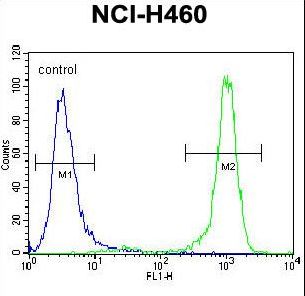 CHRND Antibody flow cytometry of NCI-H460 cells (right histogram) compared to a negative control cell (left histogram). FITC-conjugated goat-anti-rabbit secondary antibodies were used for the analysis.