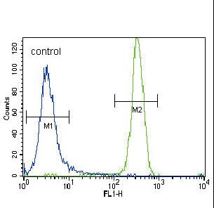 MCSF Receptor (CSF1R) Antibody flow cytometry of NCI-H460 cells (right histogram) compared to a negative control cell (left histogram). FITC-conjugated goat-anti-rabbit secondary antibodies were used for the analysis.