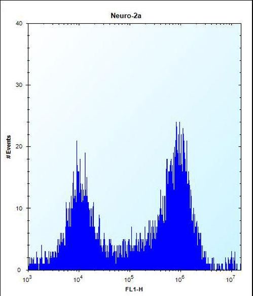 Mouse Csnk1a1 Antibody flow cytometry of Neuro-2a cells (right histogram) compared to a negative control cell (left histogram). FITC-conjugated donkey-anti-rabbit secondary antibodies were used for the analysis.