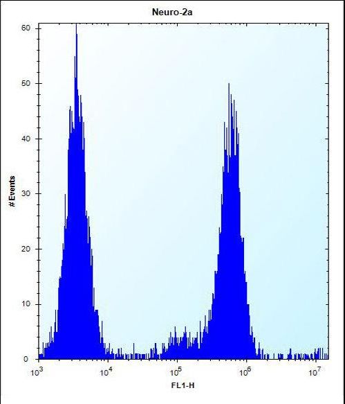 CHSY1 Antibody flow cytometry of Neuro-2a cells (right histogram) compared to a negative control cell (left histogram). FITC-conjugated donkey-anti-rabbit secondary antibodies were used for the analysis.
