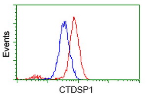 Flow cytometry of HeLa cells, using anti-CTDSP1 antibody (Red), compared to a nonspecific negative control antibody (Blue).