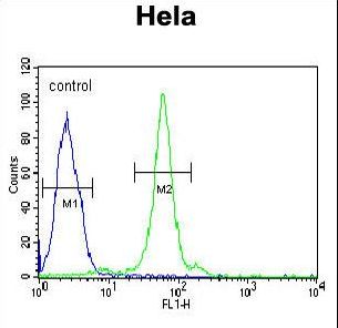 CTDSPL Antibody flow cytometry of HeLa cells (right histogram) compared to a negative control cell (left histogram). FITC-conjugated goat-anti-rabbit secondary antibodies were used for the analysis.