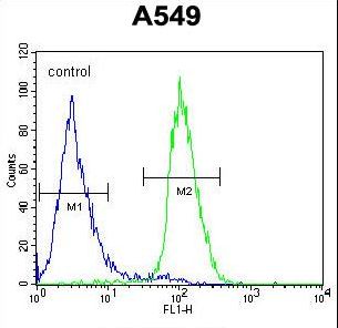 C1orf51 Antibody flow cytometry of A549 cells (right histogram) compared to a negative control cell (left histogram). FITC-conjugated goat-anti-rabbit secondary antibodies were used for the analysis.
