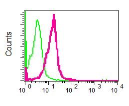 Flow cytometry of permeabilized Raji cells using anti-CTPS antibody (red)or a rabbit IgG (negative) (green).