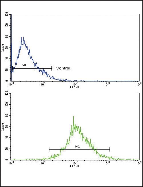 Flow cytometric of HepG2 cells using CATB Antibody (bottom histogram) compared to a negative control cell (top histogram). FITC-conjugated goat-anti-rabbit secondary antibodies were used for the analysis.