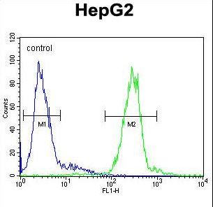 CTSH Antibody flow cytometry of HepG2 cells (right histogram) compared to a negative control cell (left histogram). FITC-conjugated goat-anti-rabbit secondary antibodies were used for the analysis.