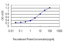 Detection limit for recombinant GST tagged CILP is approximately 0.1 ng/ml as a capture antibody.