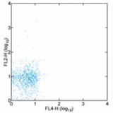 Staining of normal human peripheral blood cells with 0.25 ug of Purified Mouse IgG1, K isotype control followed by PE Donkey F(ab')2 Fragment Anti-Mouse IgG (H+L, Minimal Reactivity to Rat IgG). Cells in the large scatter population were used for analysis.