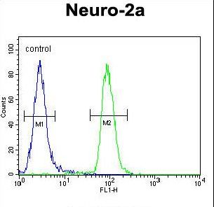 CIRH1A Antibody flow cytometry of Neuro-2a cells (right histogram) compared to a negative control cell (left histogram). FITC-conjugated goat-anti-rabbit secondary antibodies were used for the analysis.