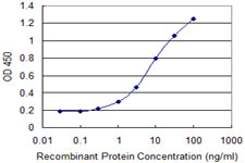 Detection limit for recombinant GST tagged CYLD is 0.1 ng/ml as a capture antibody.