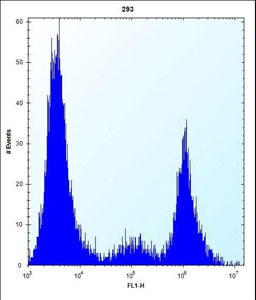 CYP20A1 Antibody flow cytometry of 293 cells (right histogram) compared to a negative control cell (left histogram). FITC-conjugated goat-anti-rabbit secondary antibodies were used for the analysis.