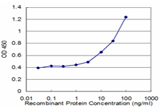 Detection limit for recombinant GST tagged CYP24A1 is approximately 1 ng/ml as a capture antibody.