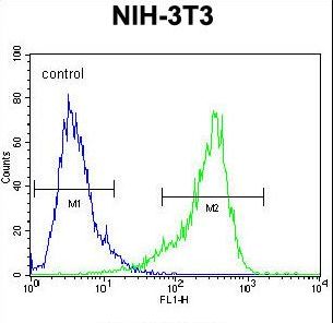 CYP26A1 Antibody flow cytometry of NIH-3T3 cells (right histogram) compared to a negative control cell (left histogram). FITC-conjugated goat-anti-rabbit secondary antibodies were used for the analysis.