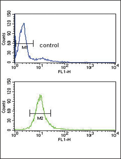 CYP51A1 Antibody flow cytometry of HL-60 cells (bottom histogram) compared to a negative control cell (top histogram). FITC-conjugated goat-anti-rabbit secondary antibodies were used for the analysis.