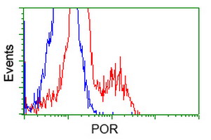 HEK293T cells transfected with either pCMV6-ENTRY POR (Red) or empty vector control plasmid (Blue) were immunostained with anti-POR mouse monoclonal(Dilution 1:1,000), and then analyzed by flow cytometry.