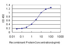 Detection limit for recombinant GST tagged PSCD2 is approximately 0.03 ng/ml as a capture antibody.