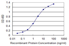 Detection limit for recombinant GST tagged CALN1 is 0.03 ng/ml as a capture antibody.