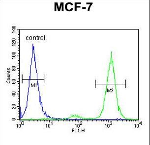 CNPY2 Antibody flow cytometry of MCF-7 cells (right histogram) compared to a negative control cell (left histogram). FITC-conjugated goat-anti-rabbit secondary antibodies were used for the analysis.