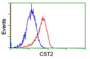 Flow cytometry of Jurkat cells, using anti-CST2 antibody (Red), compared to a nonspecific negative control antibody (Blue).