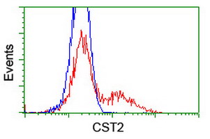 HEK293T cells transfected with either overexpress plasmid (Red) or empty vector control plasmid (Blue) were immunostained by anti-CST2 antibody, and then analyzed by flow cytometry.