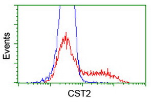 HEK293T cells transfected with either overexpress plasmid (Red) or empty vector control plasmid (Blue) were immunostained by anti-CST2 antibody, and then analyzed by flow cytometry.