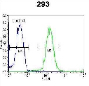 DACT1 Antibody flow cytometry of 293 cells (right histogram) compared to a negative control cell (left histogram). FITC-conjugated goat-anti-rabbit secondary antibodies were used for the analysis.