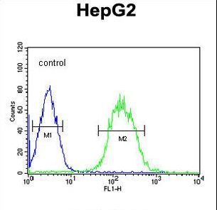 SFRS16 Antibody flow cytometry of HepG2 cells (right histogram) compared to a negative control cell (left histogram). FITC-conjugated goat-anti-rabbit secondary antibodies were used for the analysis.