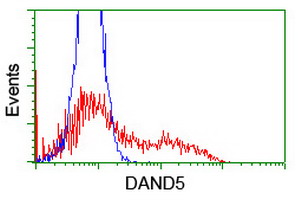 HEK293T cells transfected with either overexpress plasmid (Red) or empty vector control plasmid (Blue) were immunostained by anti-DAND5 antibody, and then analyzed by flow cytometry.