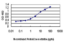 Detection limit for recombinant GST tagged DAPK1 is approximately 0.1 ng/ml as a capture antibody.