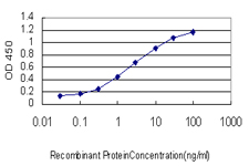 Detection limit for recombinant GST tagged DAZ1 is approximately 0.1 ng/ml as a capture antibody.
