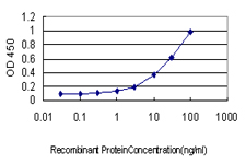 Detection limit for recombinant GST tagged DAZ1 is approximately 1 ng/ml as a capture antibody.