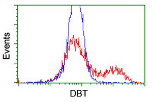 HEK293T cells transfected with either overexpress plasmid (Red) or empty vector control plasmid (Blue) were immunostained by anti-DBT antibody, and then analyzed by flow cytometry.